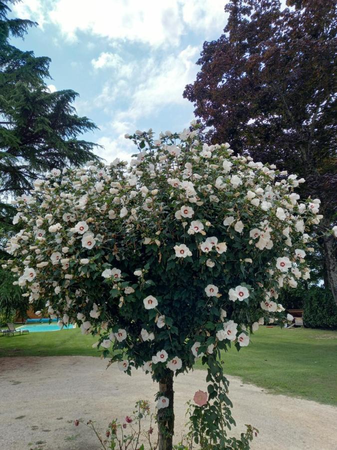 Le Domaine Du Chaffard Bed & Breakfast Les Avenieres Luaran gambar